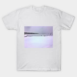 Great White North - A Very Cold Day on a Northern Canadian Lake T-Shirt